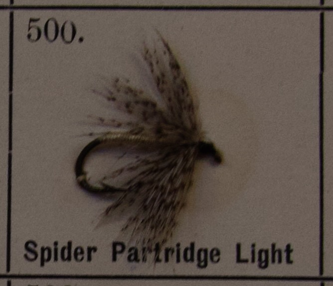 Spider Partridge Light