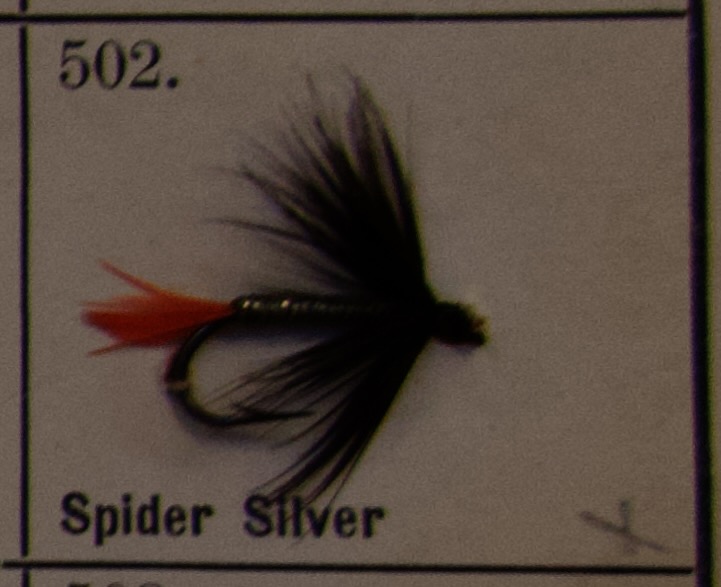 Spider Silver