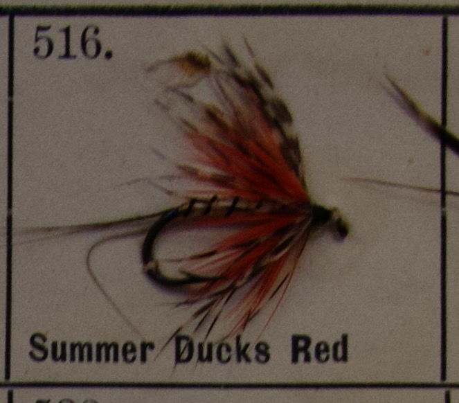 Summer Ducks Red