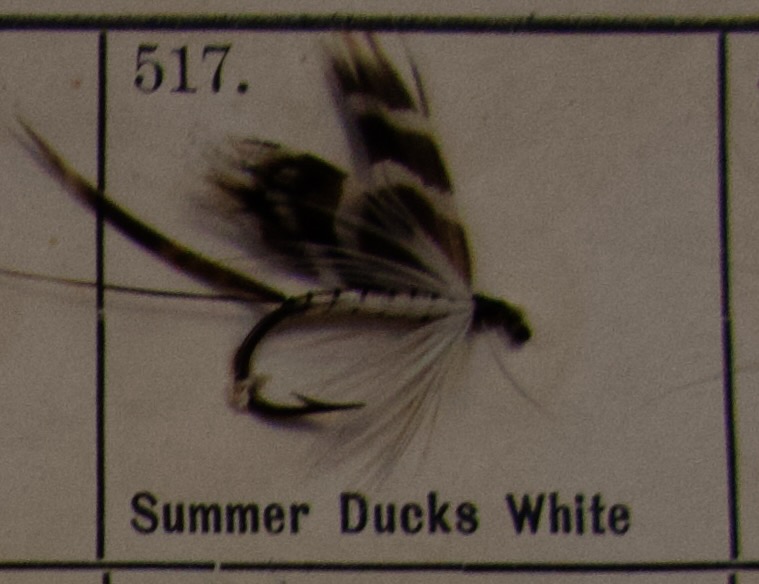 Summer Ducks White