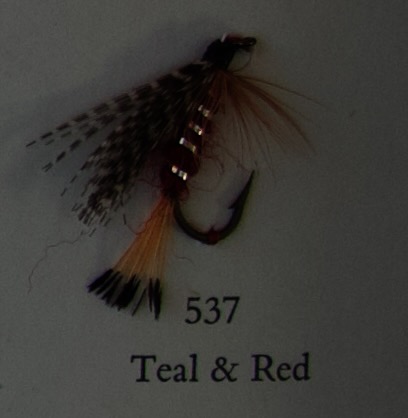 520 - 539: Våtfluer