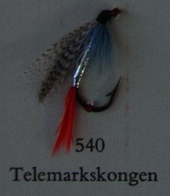 540 - 559: Våtfluer