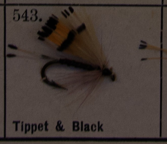 Tippet Black