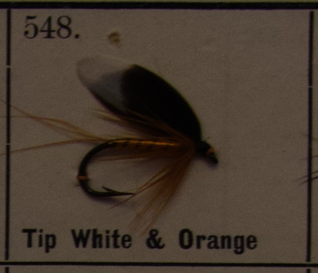 Tip White Orange