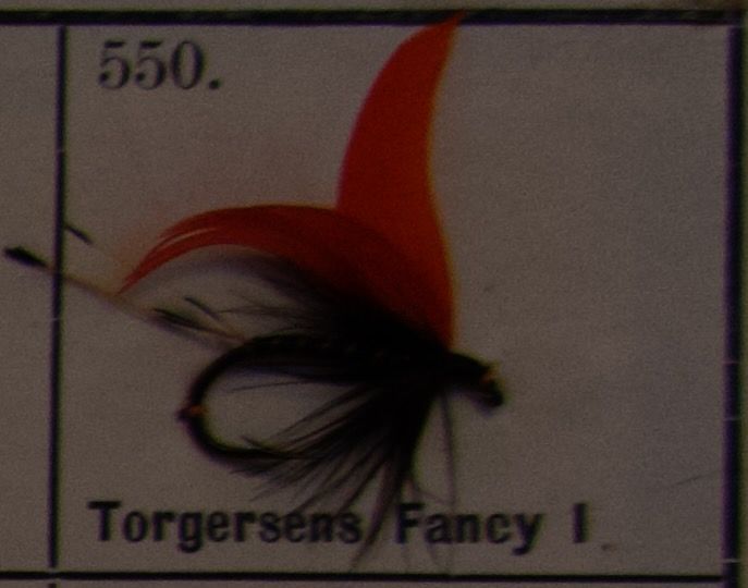 Torgersens Fancy 1