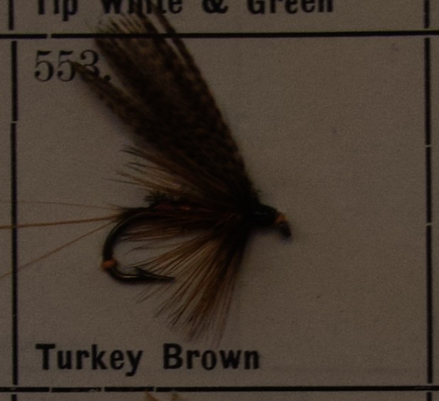 Turkey Brown