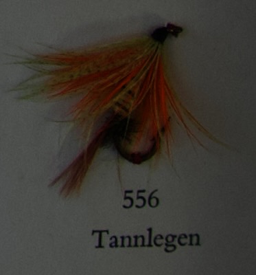 Tannlegen