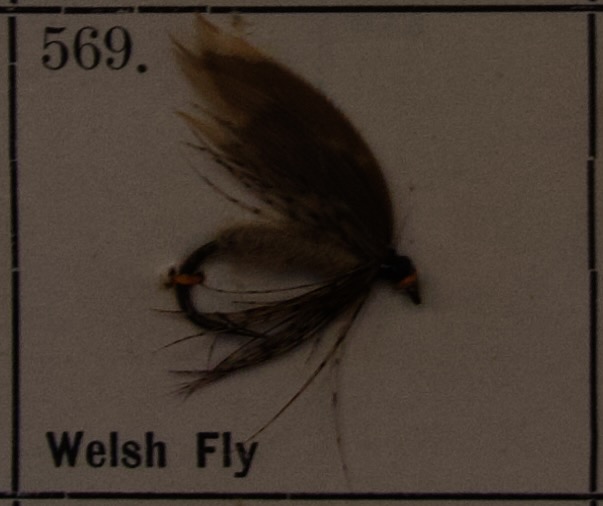 Welsh Fly