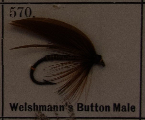 Welshmanns Button Male