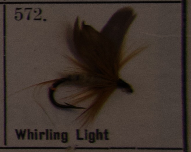Whirling Light