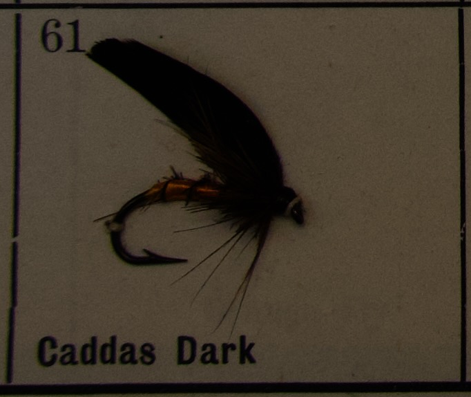 Caddas Dark