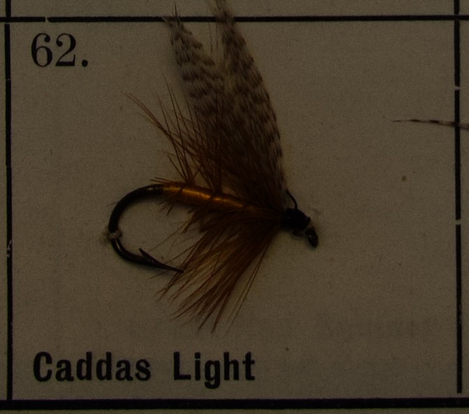 Caddas Light