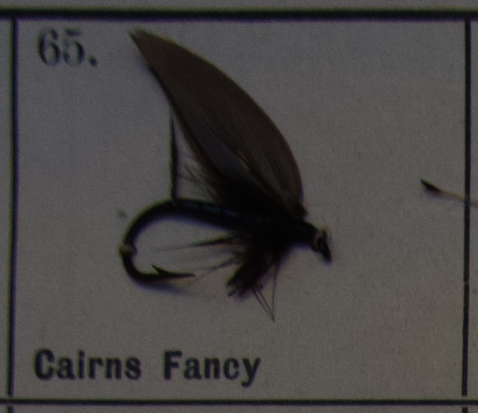 Cairs Fancy