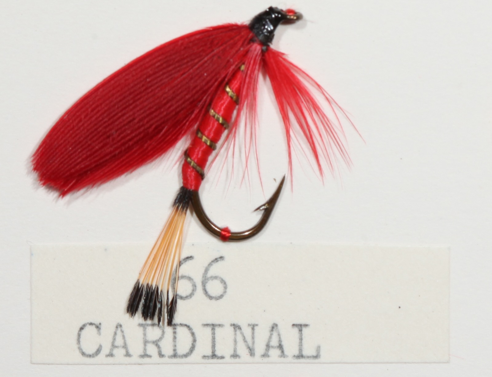 Cardinal