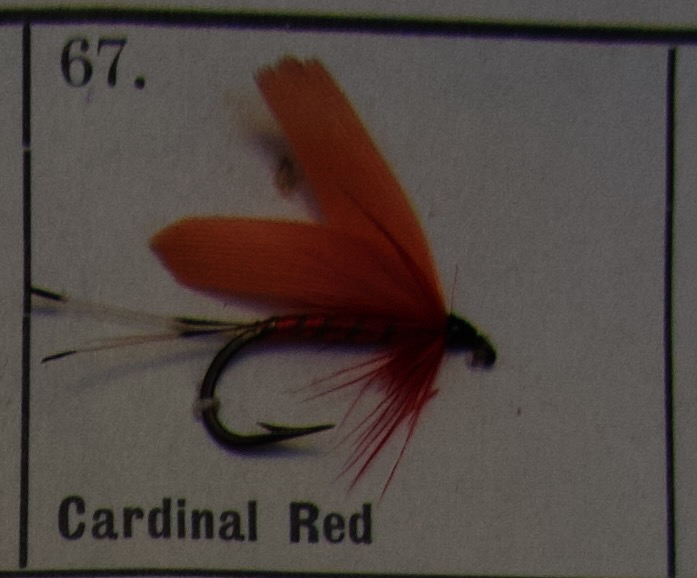Cardinal Red