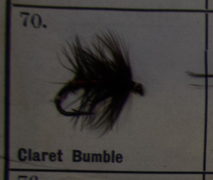 Claret Bumble
