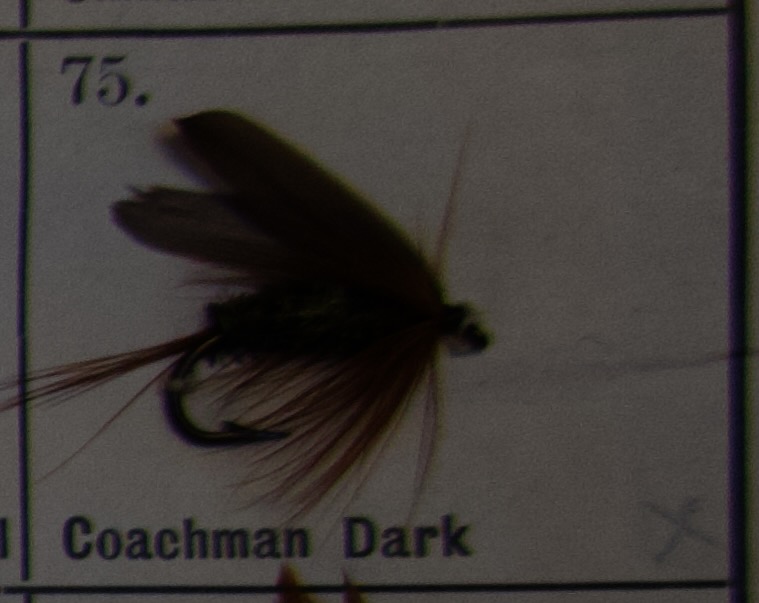 Coachman Dark