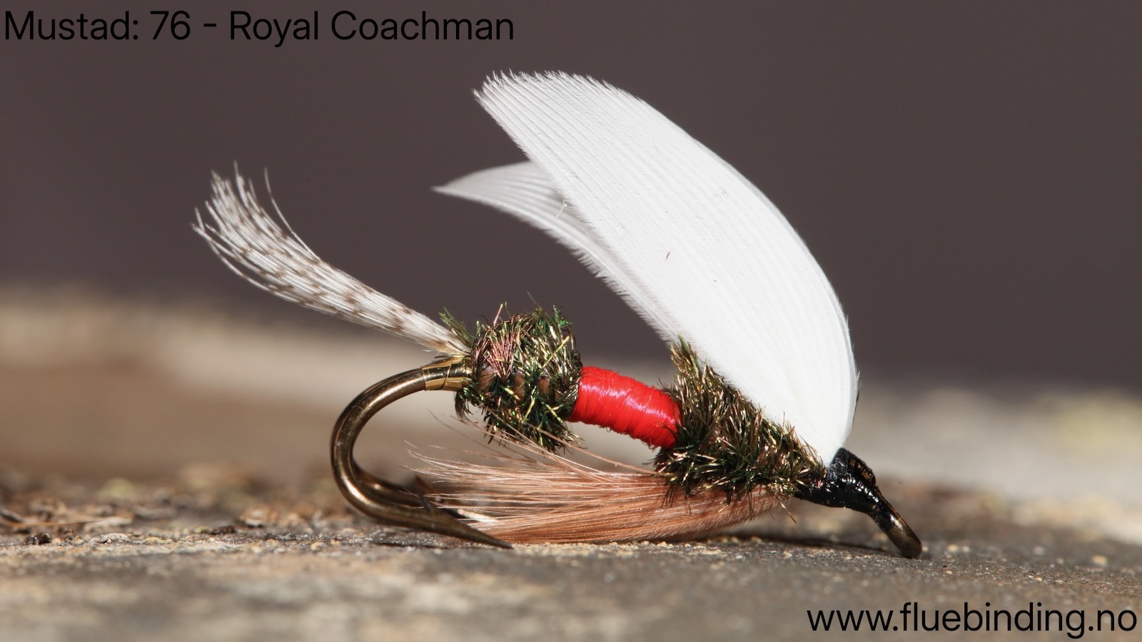 Coachman Royal