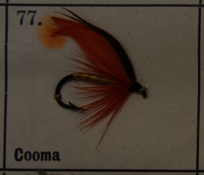 Cooma