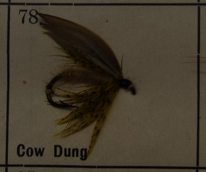 Cow Dung