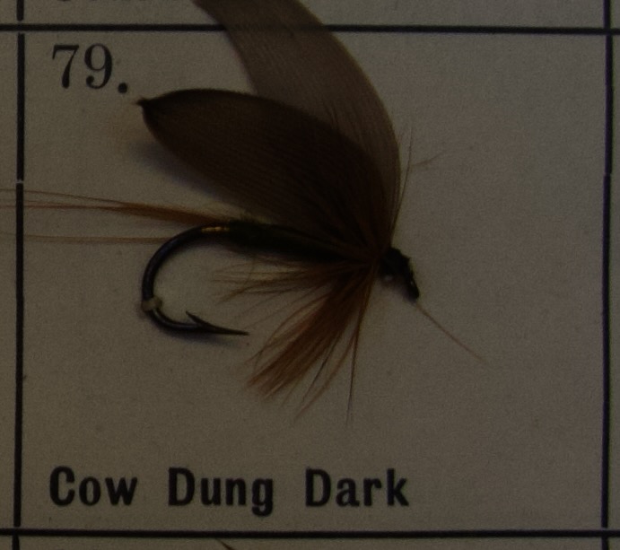 Cow Dung Dark