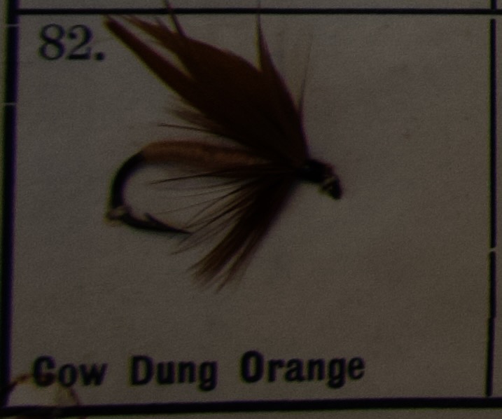 Cow Dung Orange