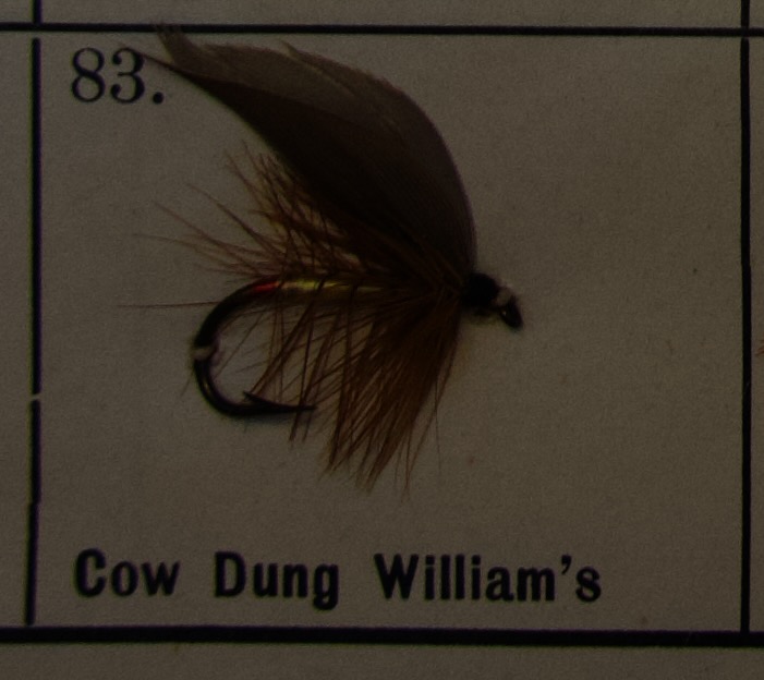 Cow Dung Olive Williams