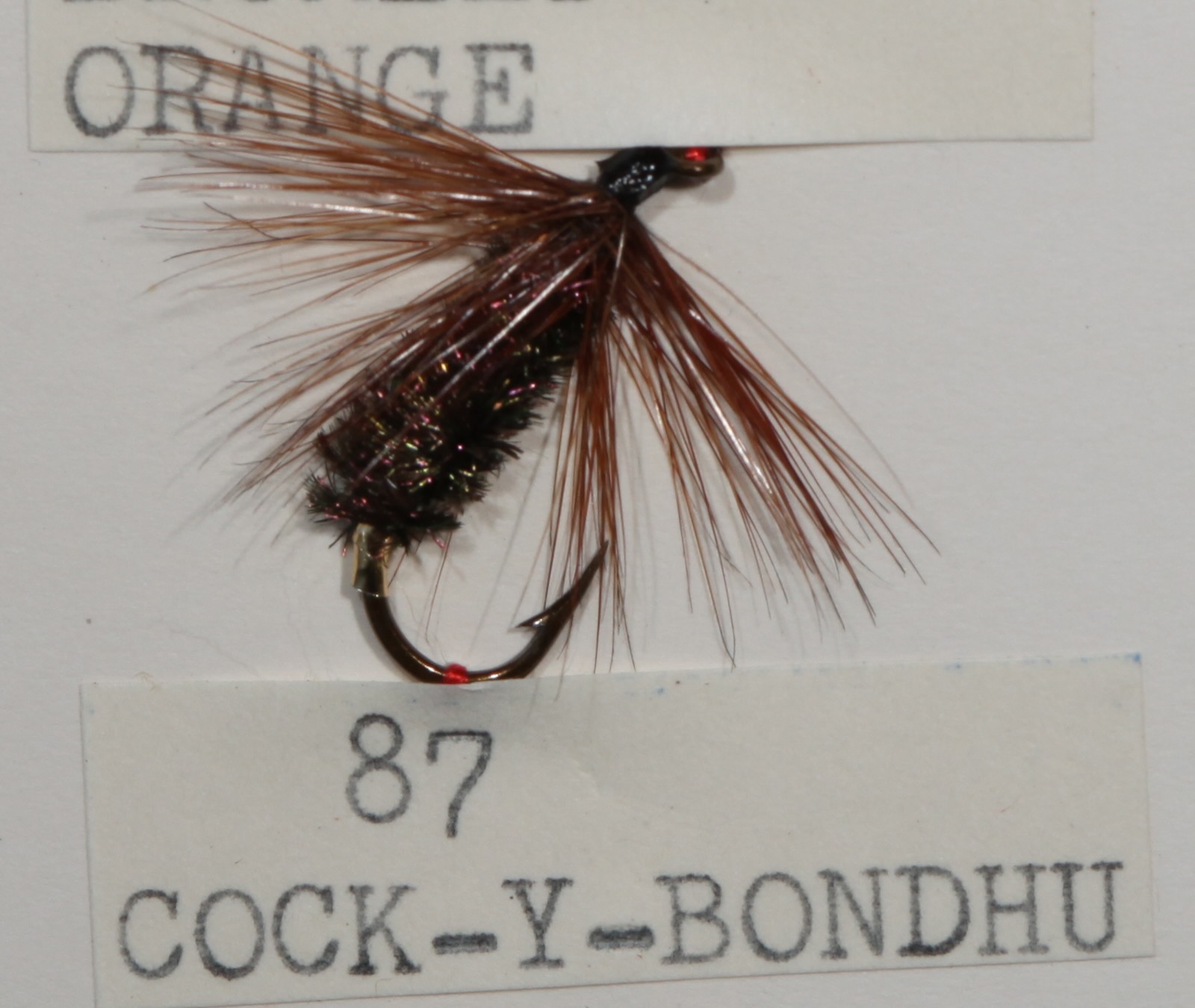 Cock-y-Bondhu