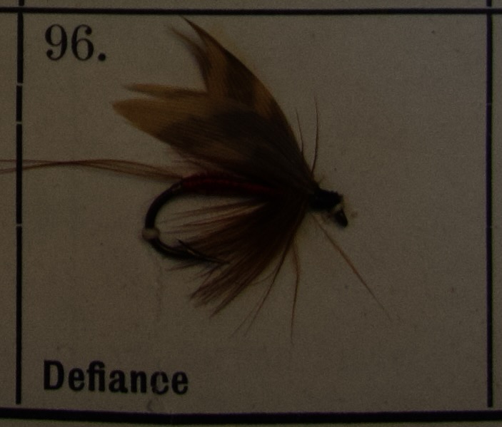 Defiance