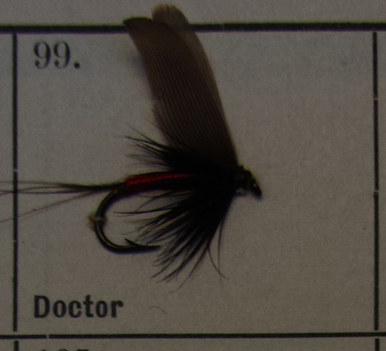 Doctor