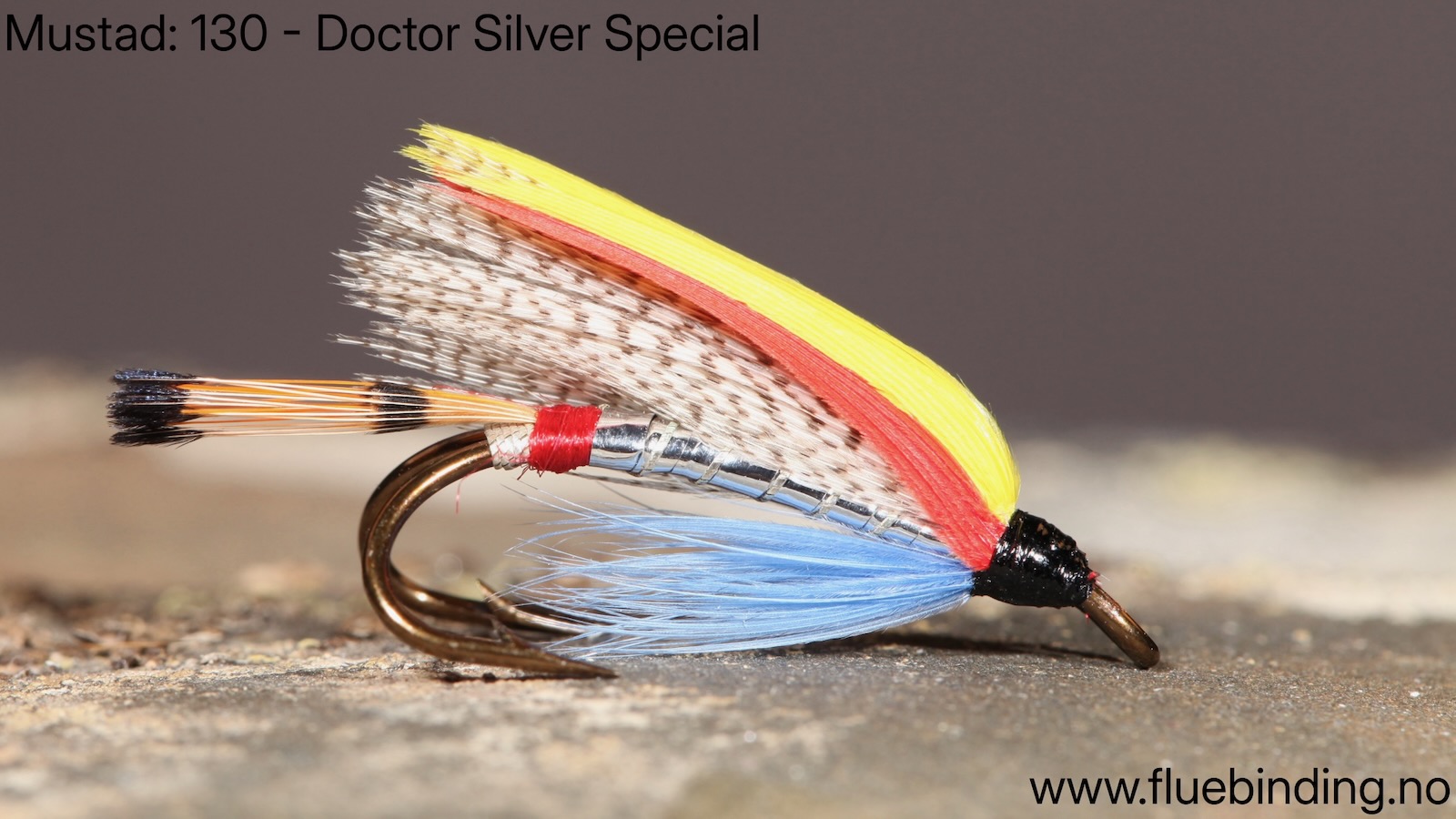 Doctor Silver Special