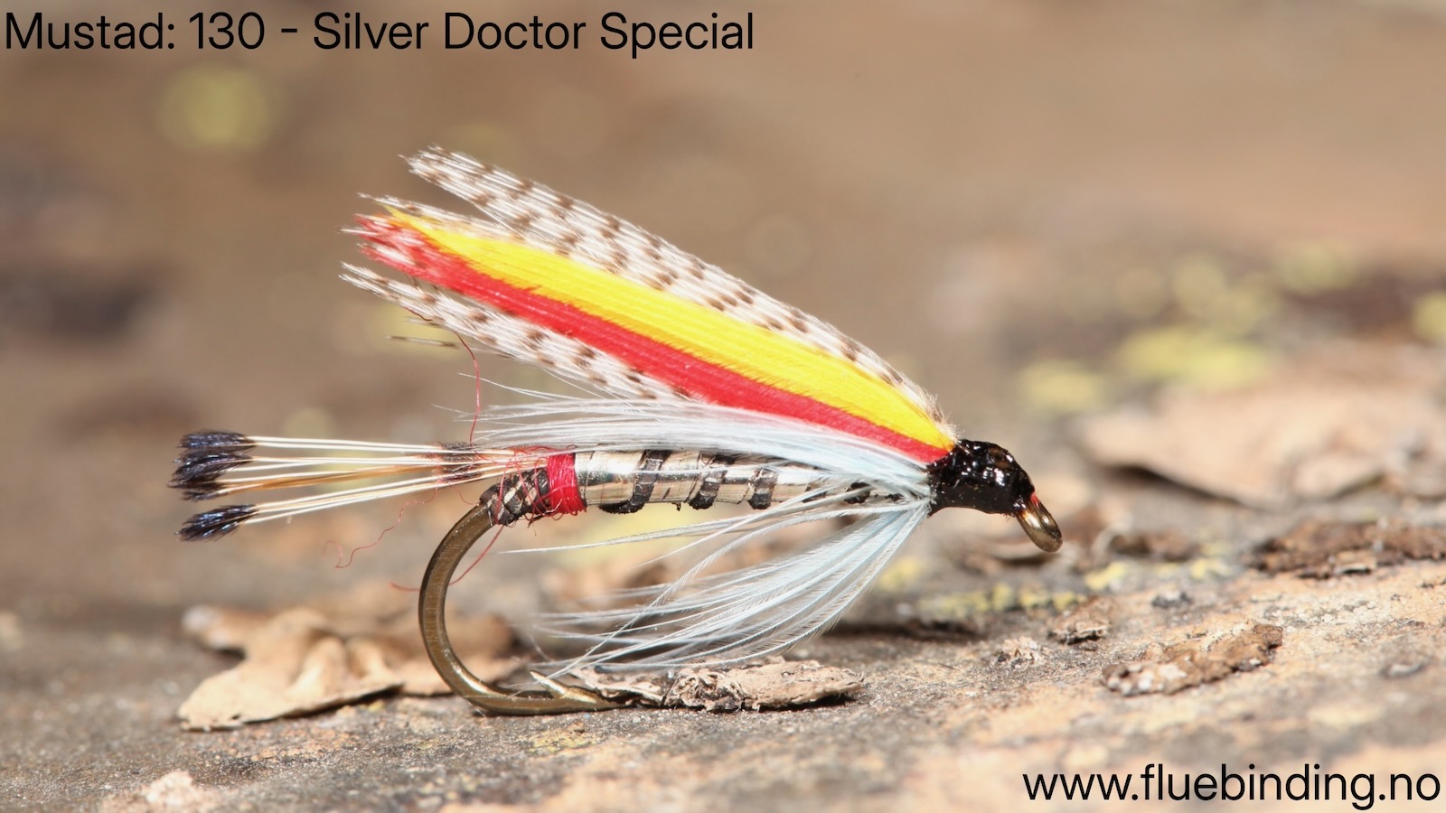 Doctor Silver Special