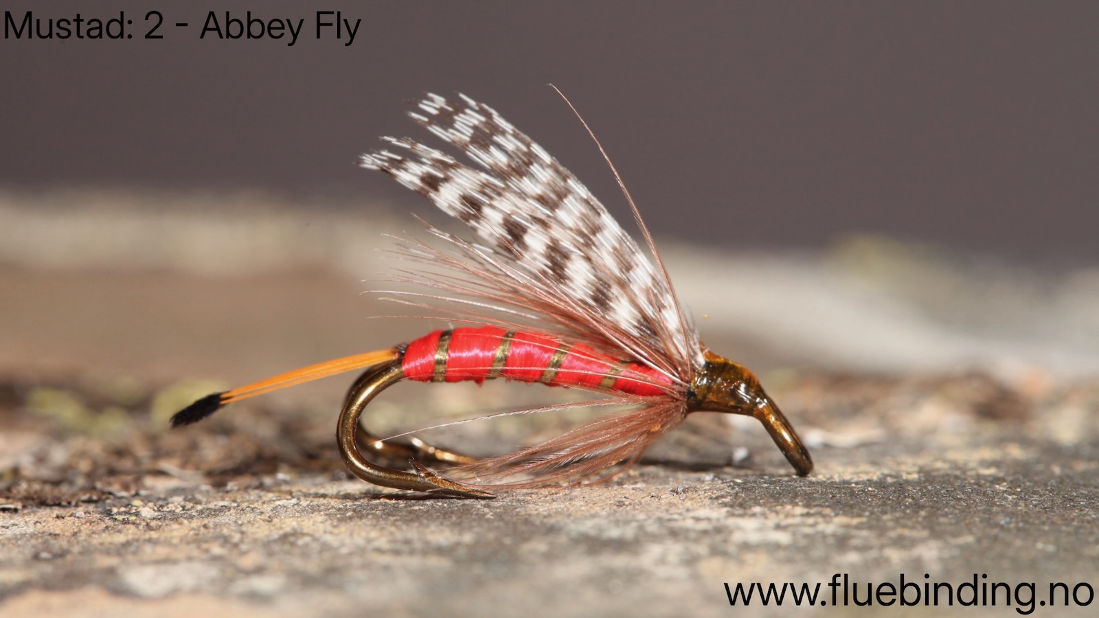 Abbey Fly