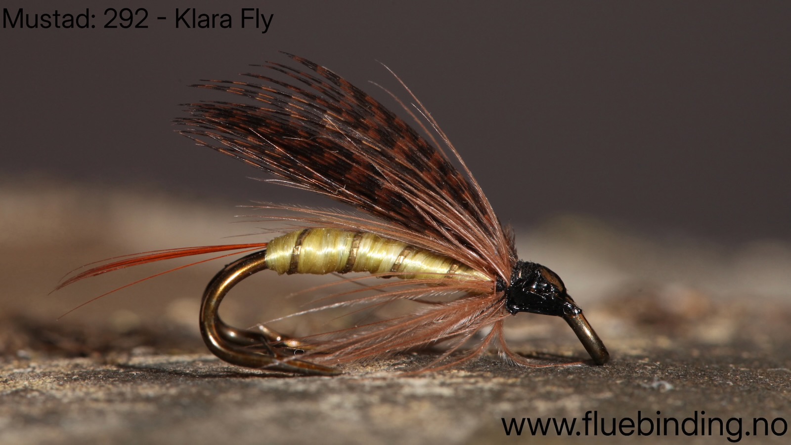 Klara Fly