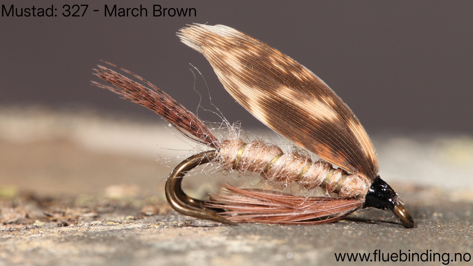 March Brown