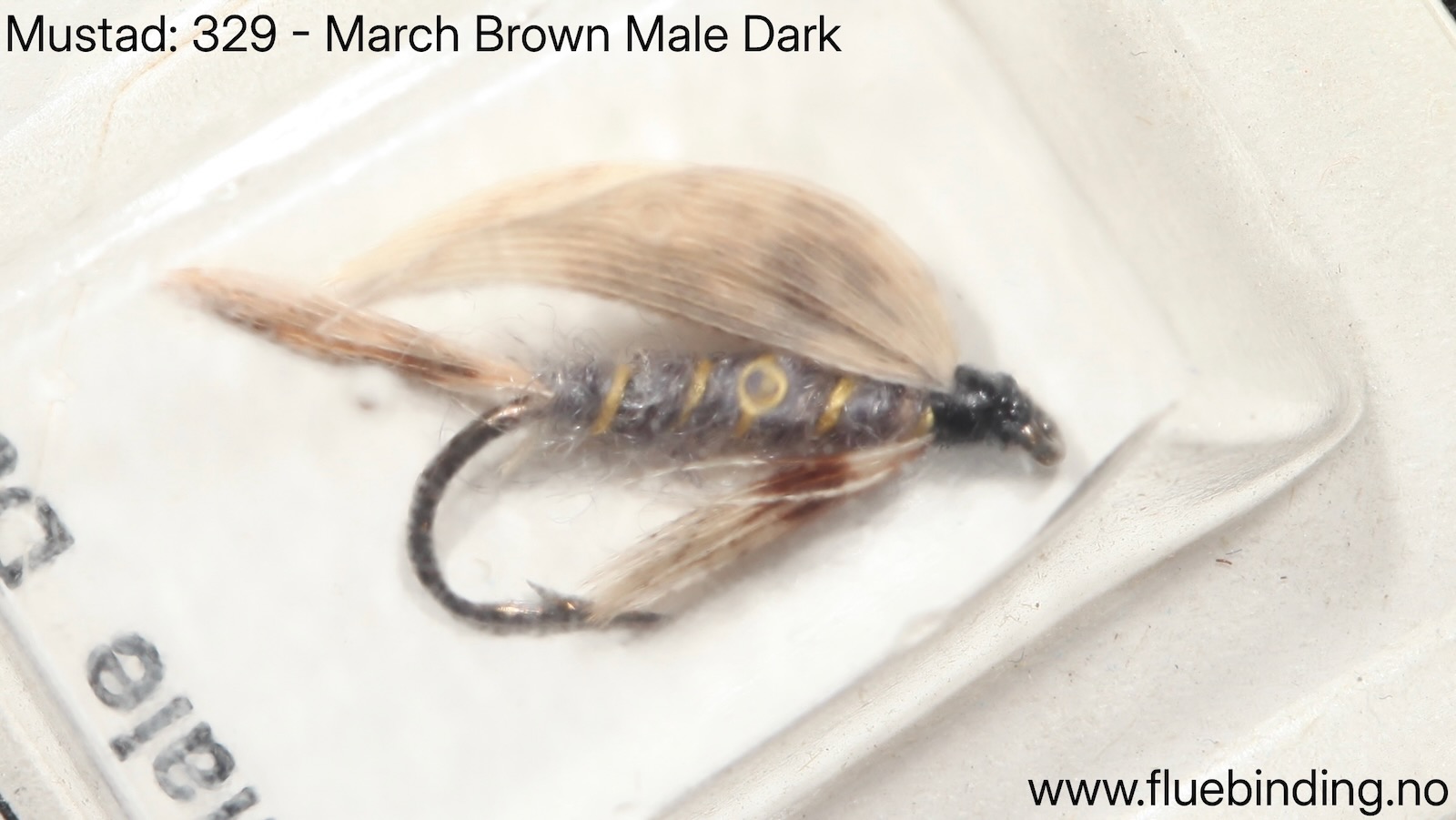 March Brown Male Dark