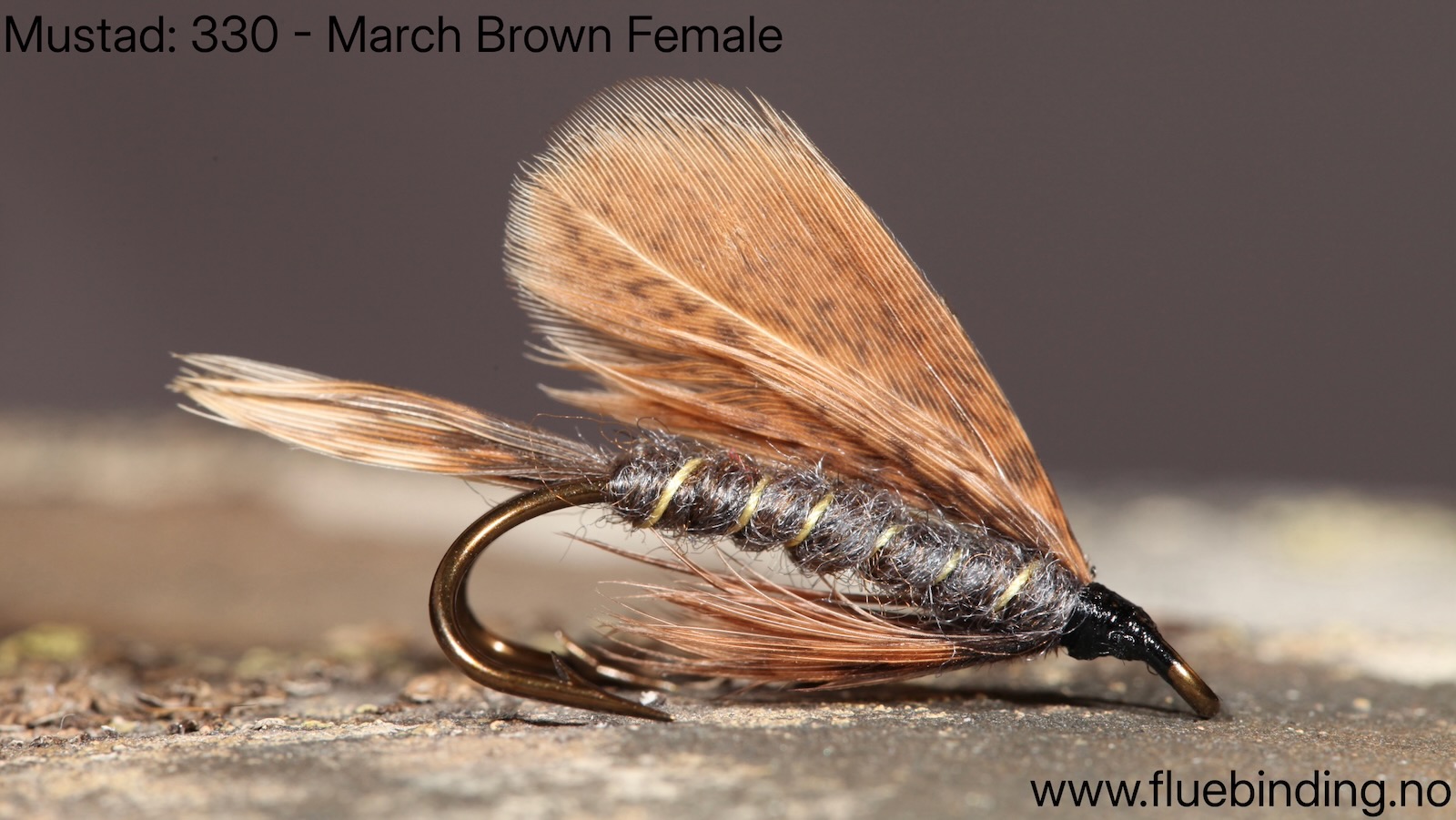 March Brown Female