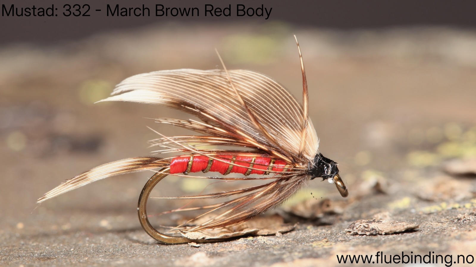 March Brown Red Body