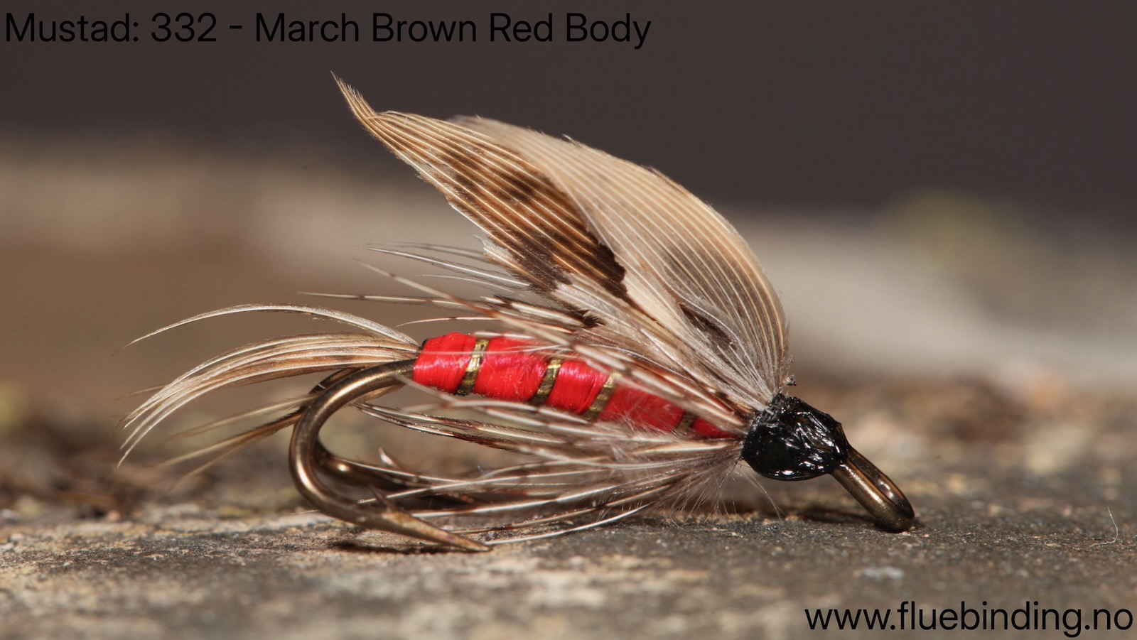 March Brown Red Body