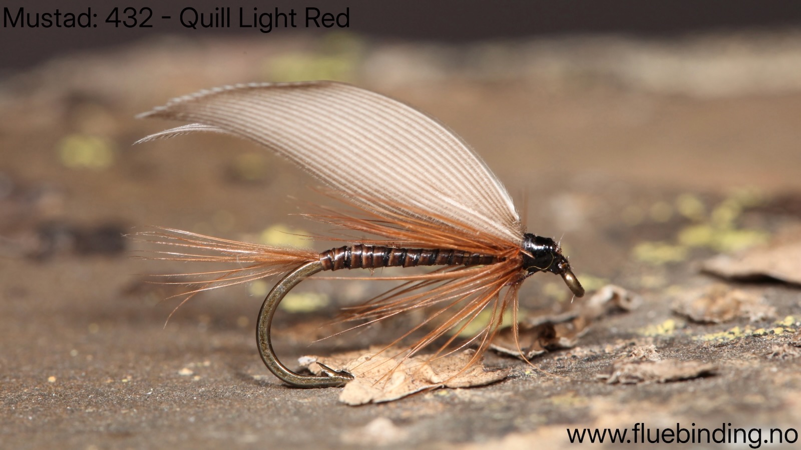 Quill Light Red