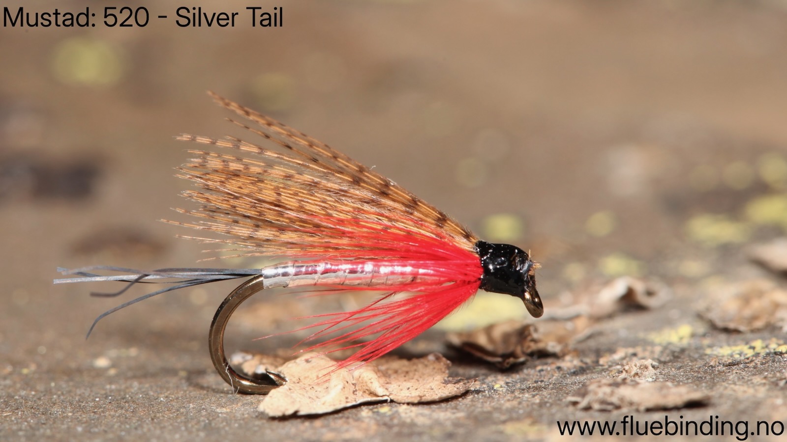 Silver Tail