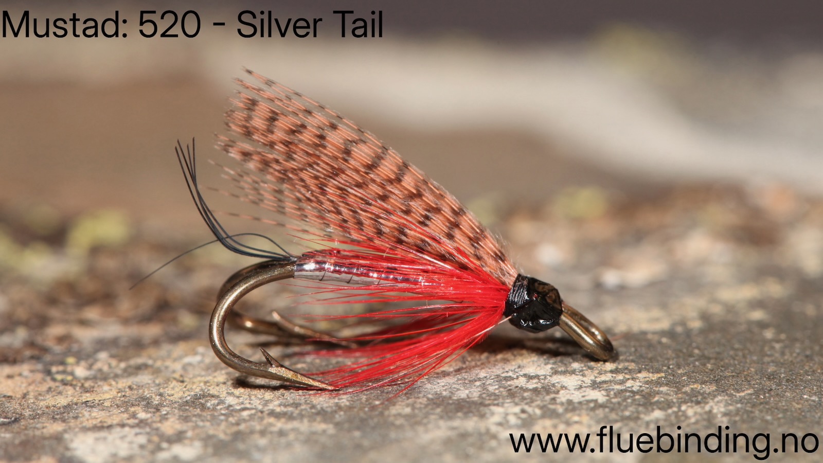 Silver Tail