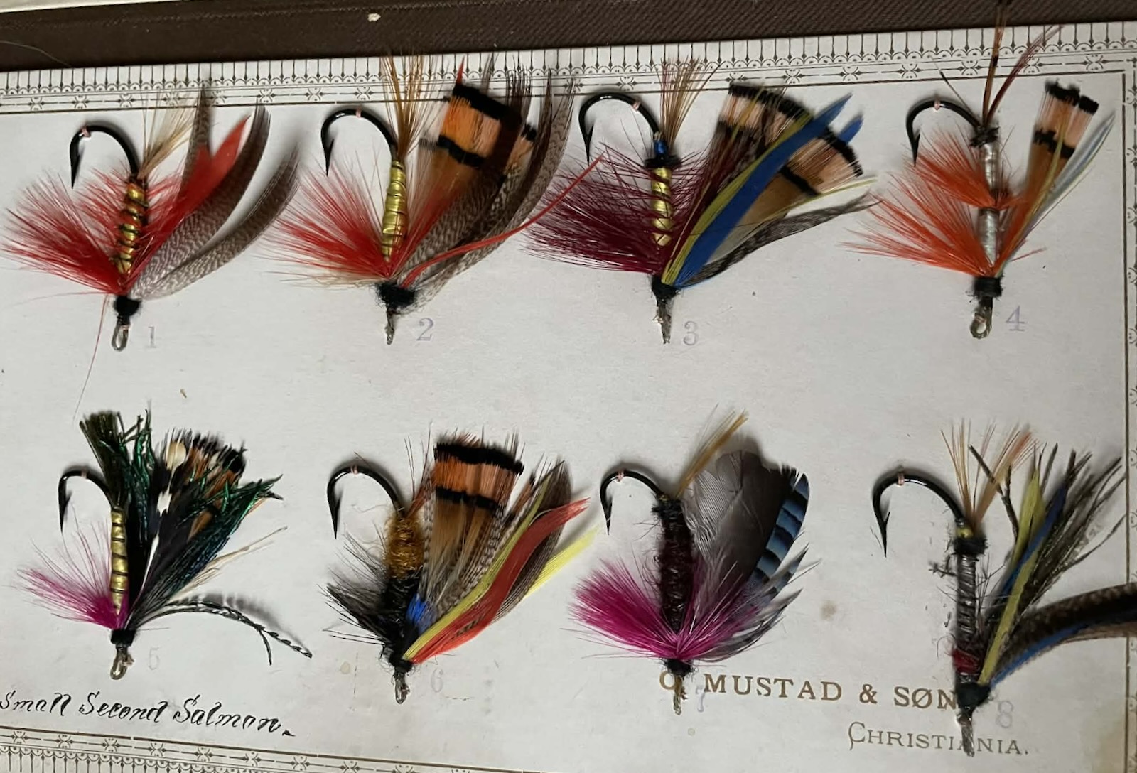 Small Second Salmon 1-8