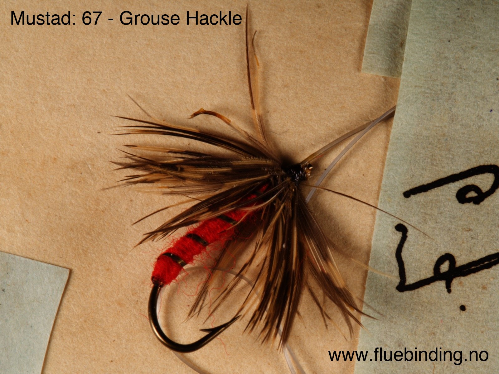 Grouse Hackle