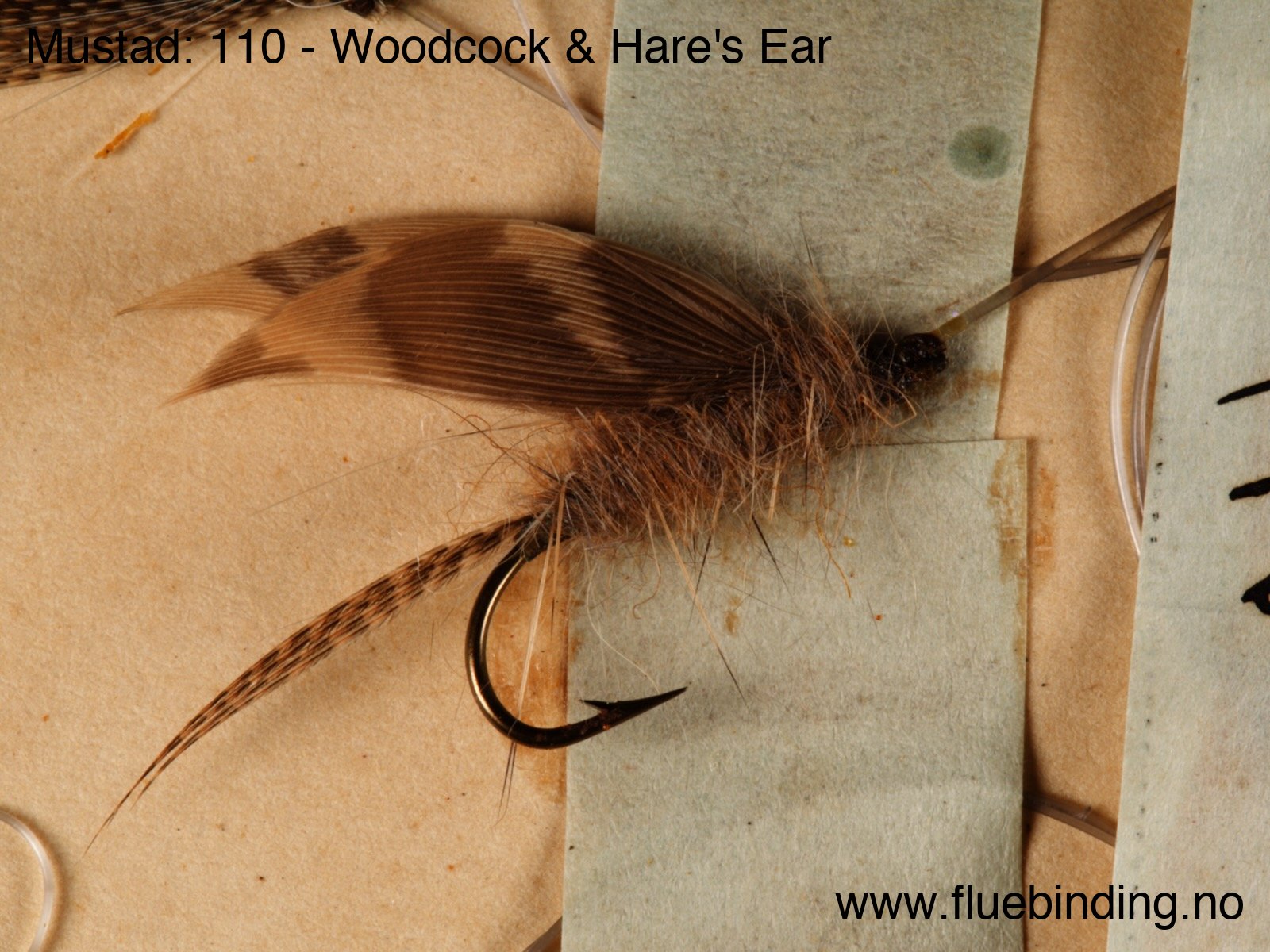 Woodcock & Hare's Ear