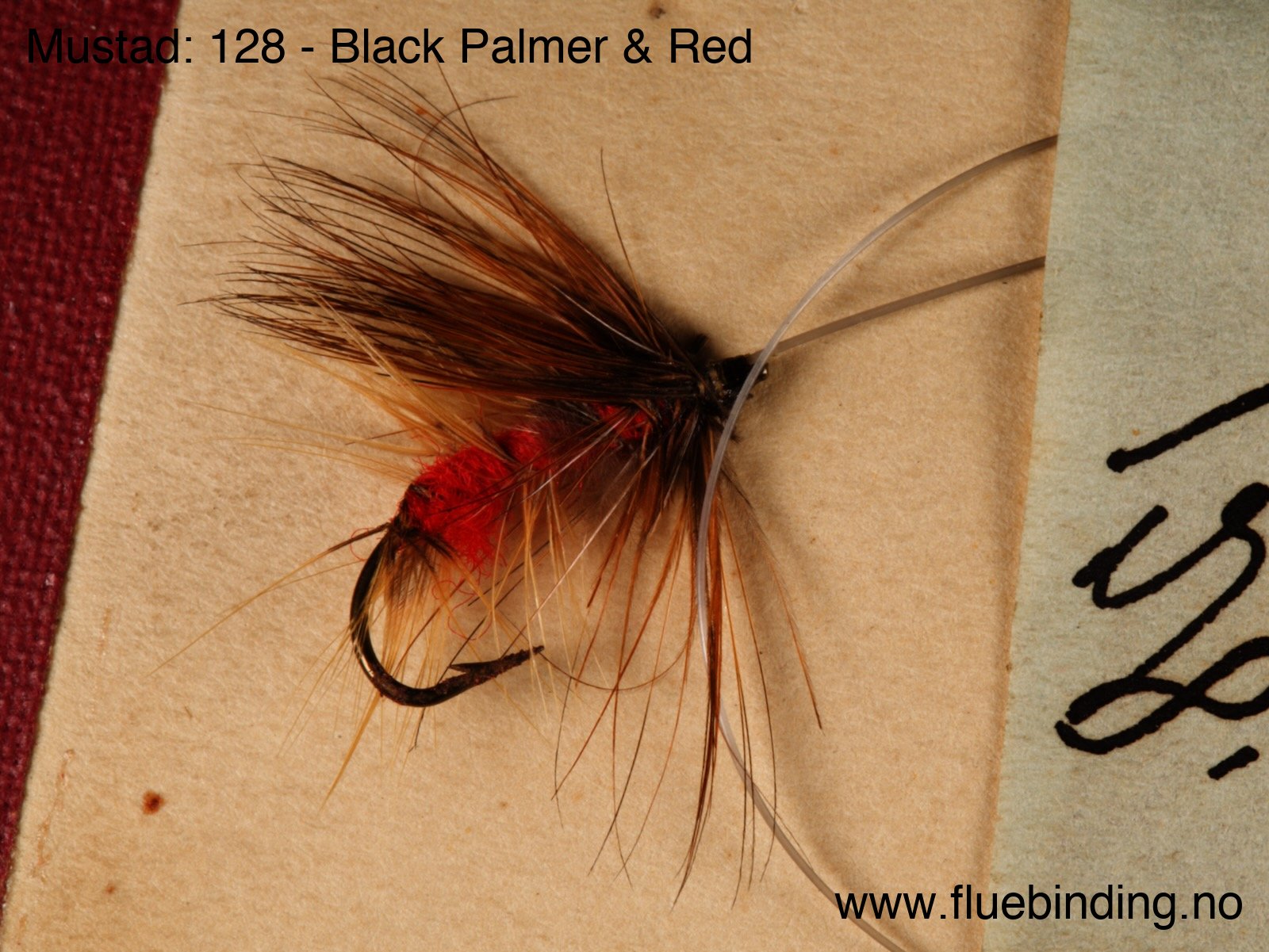 Black Palmer & Red