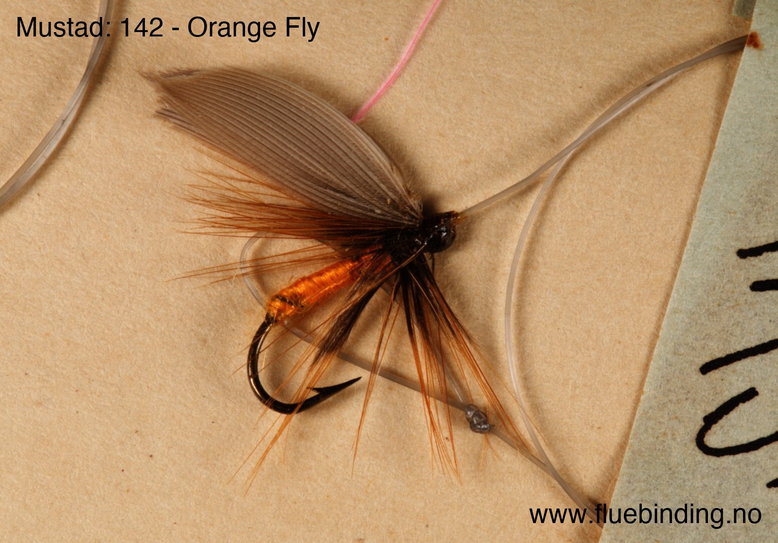 Orange Fly