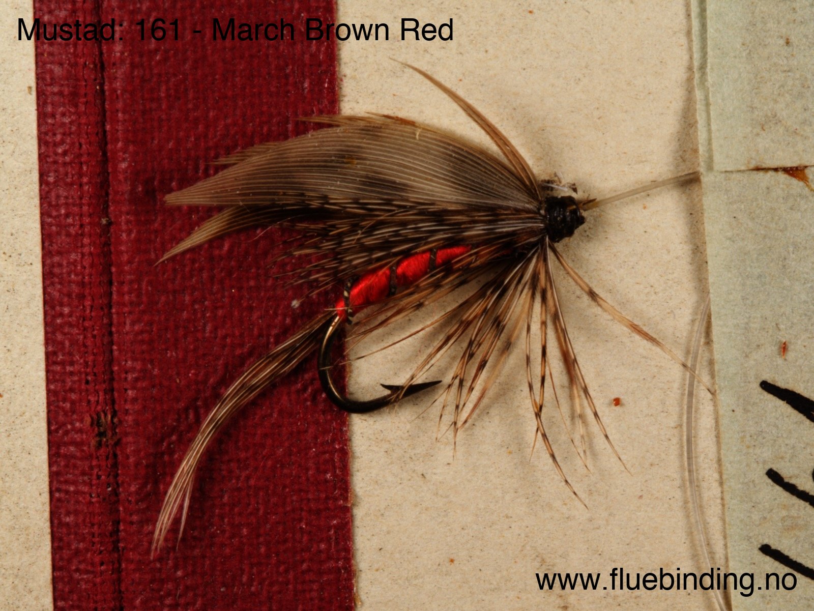 March Brown Red