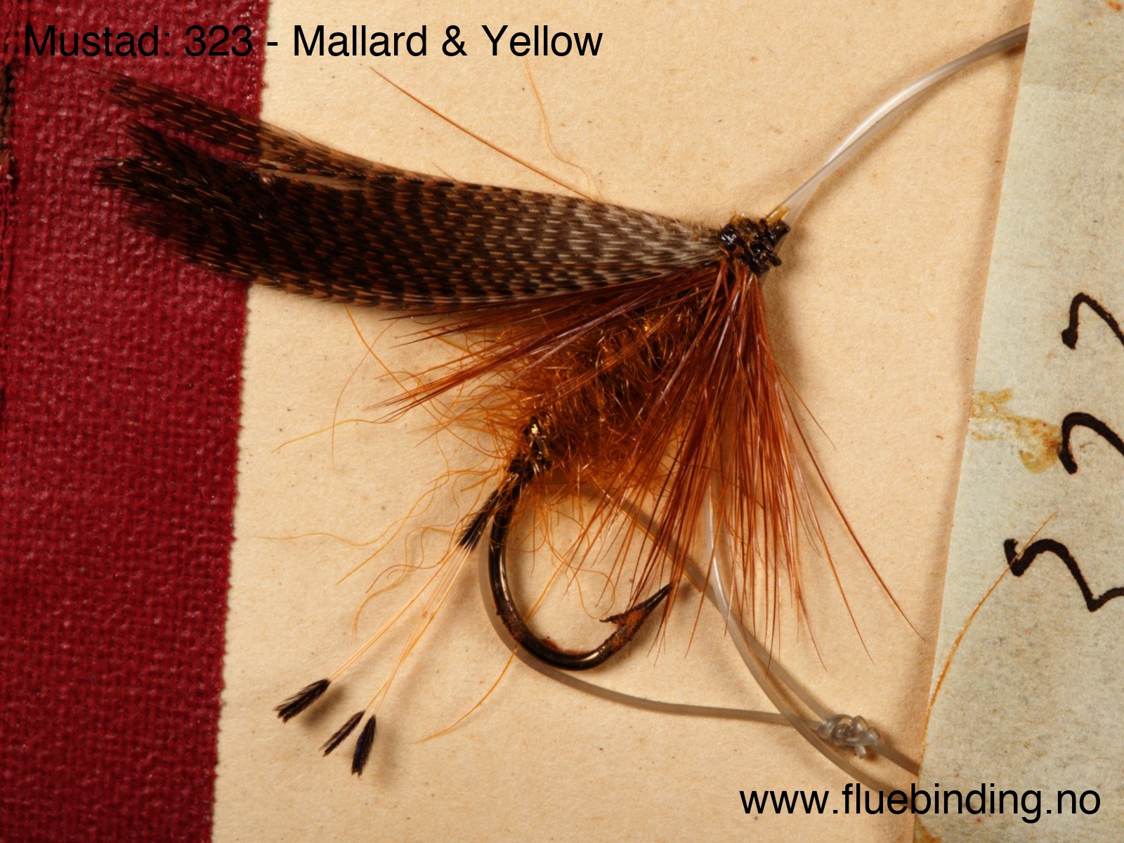 Mallard & Yellow