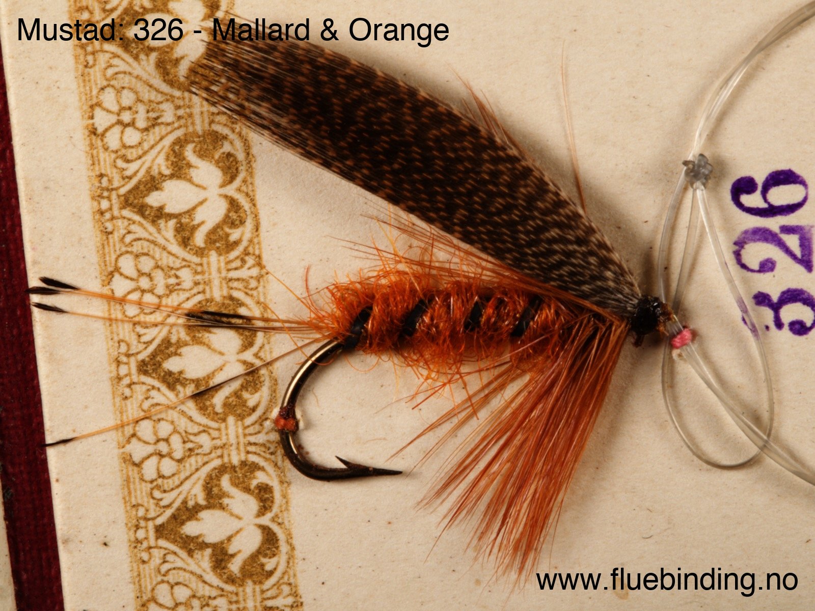 Mallard & Orange